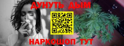 гашиш Кингисепп