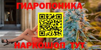 гашиш Кингисепп