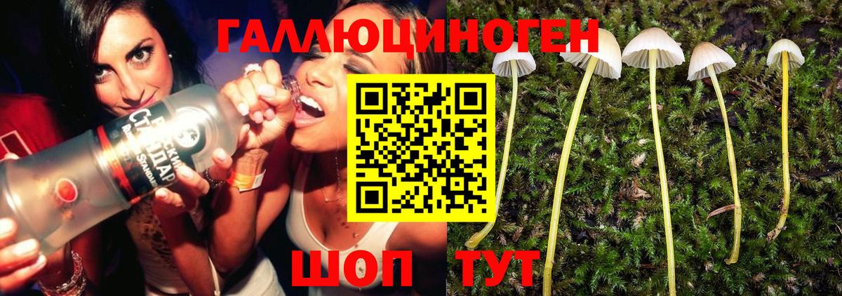 Псилоцибиновые грибы MAGIC MUSHROOMS  Вход с VPN  Лесозаводск 