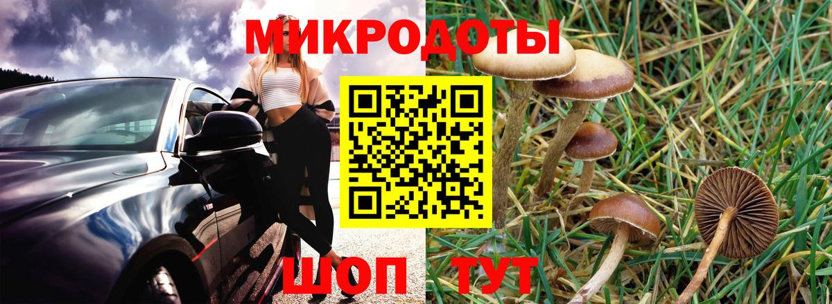 Лсд 25 Лесозаводск